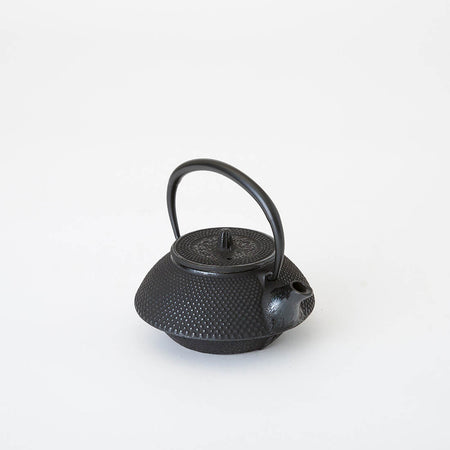 ティー用品 「急須 東屋霰 内部ホーロー」 南部鉄器 金工品
